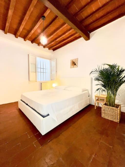 Appartement Casa Centro Firenze Wi Fi Aria Condizionata Netflix Extérieur photo