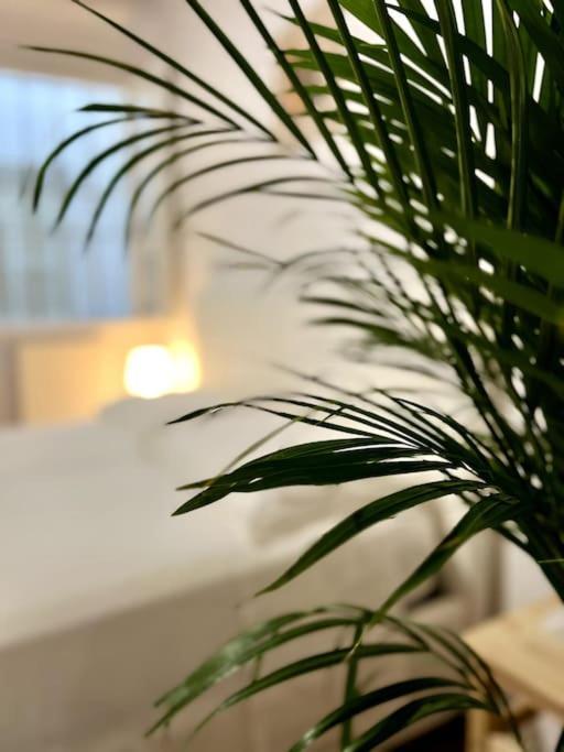 Appartement Casa Centro Firenze Wi Fi Aria Condizionata Netflix Extérieur photo
