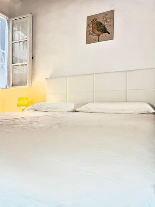 Appartement Casa Centro Firenze Wi Fi Aria Condizionata Netflix Extérieur photo